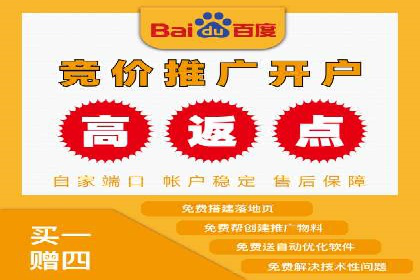搜索开户返点揭秘：实战案例赚钱技巧